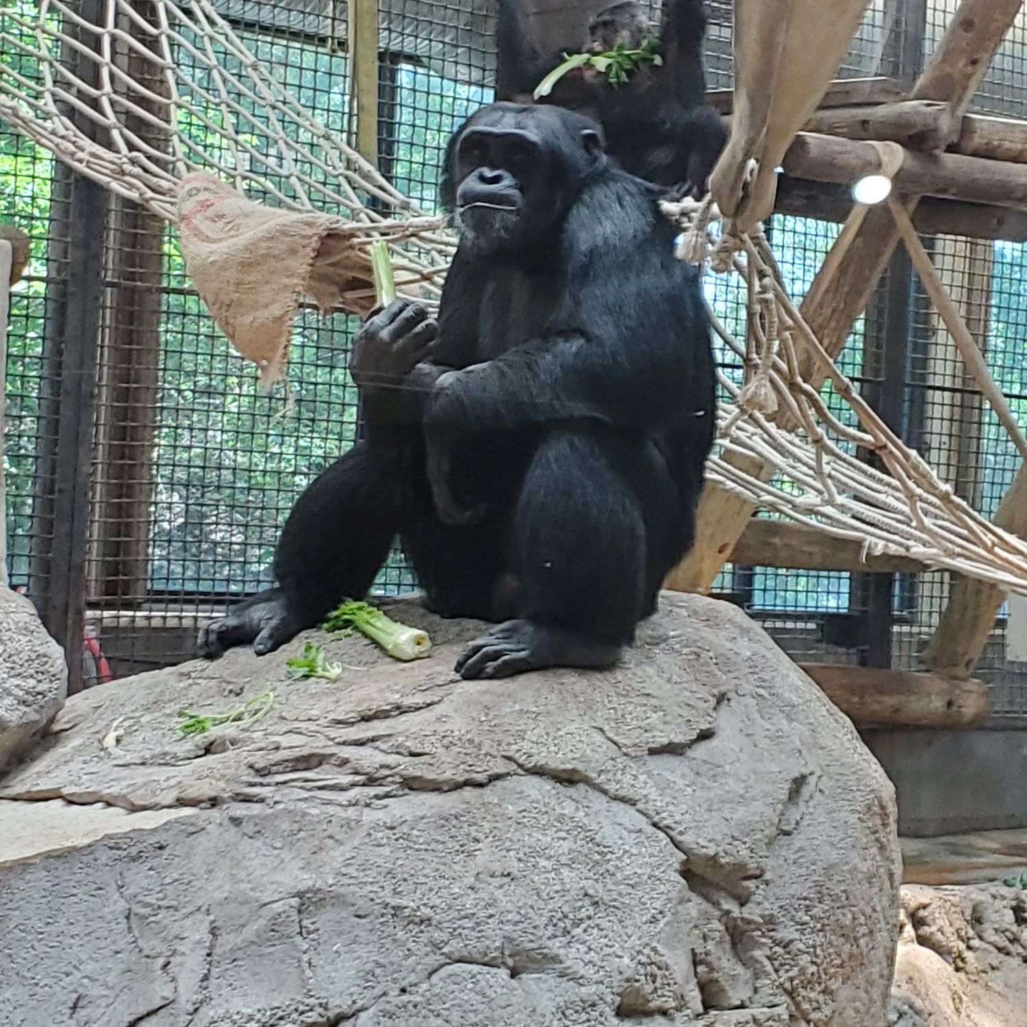 Sedgwick County Zoo 